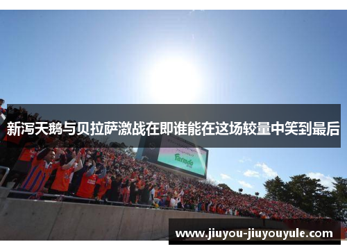 新泻天鹅与贝拉萨激战在即谁能在这场较量中笑到最后